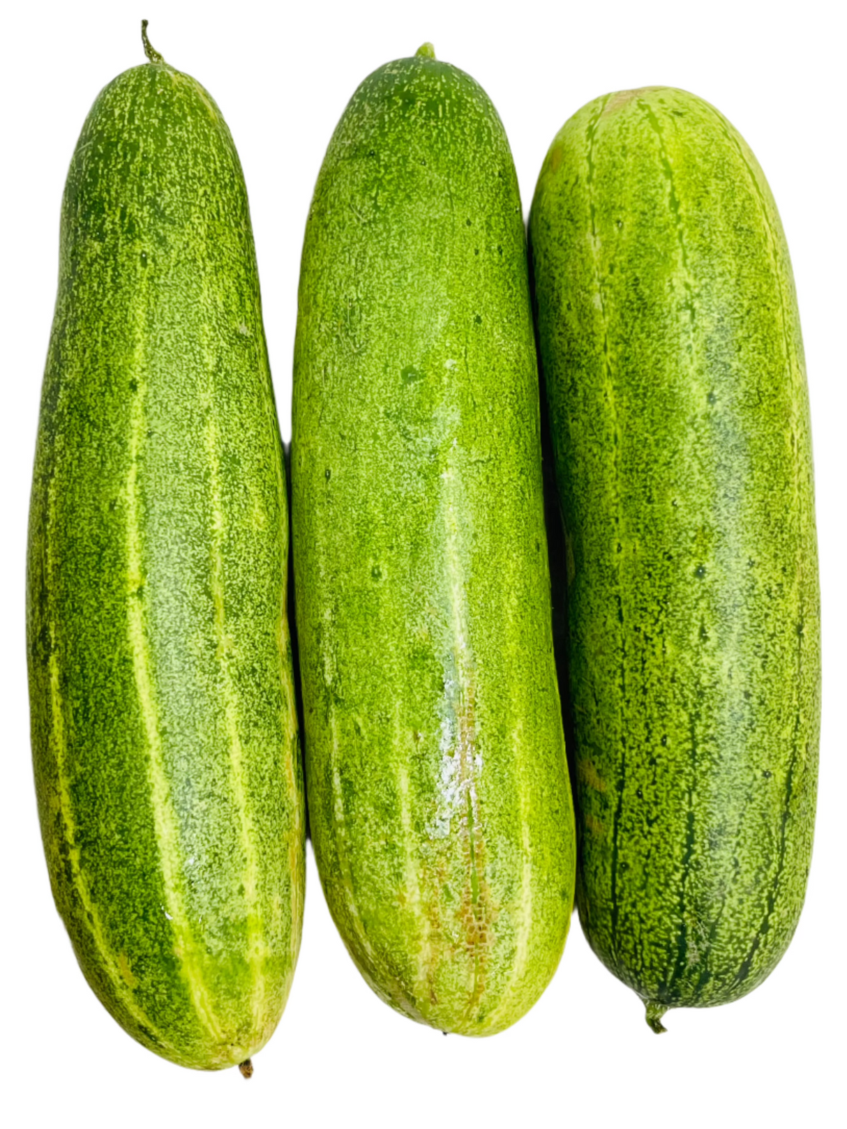 Kakro Nepali Cucumber 1Kg